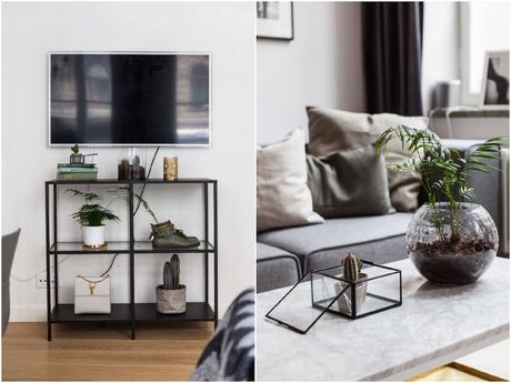 deco scandinave terrarium bois plante