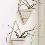 L’indispensable : Le Trigg Wall – Umbra