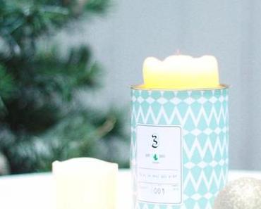 La folie piquante d’Ay Cactus