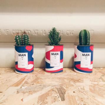 man ay cactus