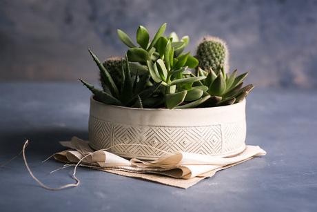 Un mini jardin dans la salle de bains