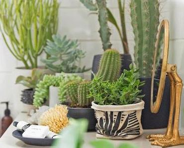 Un mini jardin dans la salle de bains