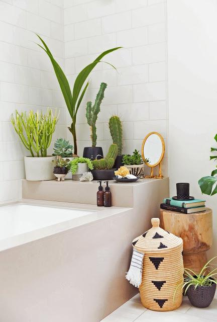 Un mini jardin dans la salle de bains