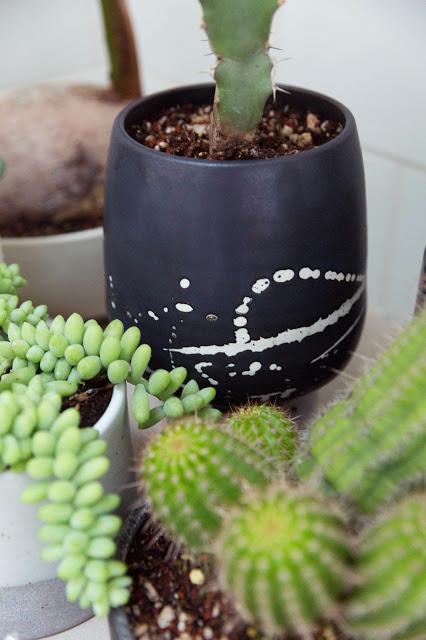 Un mini jardin dans la salle de bains