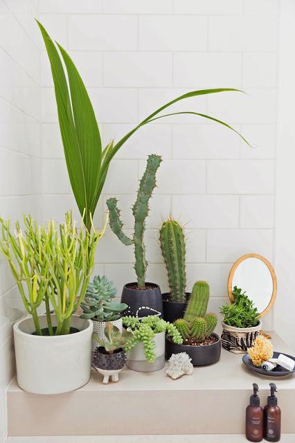 Un mini jardin dans la salle de bains