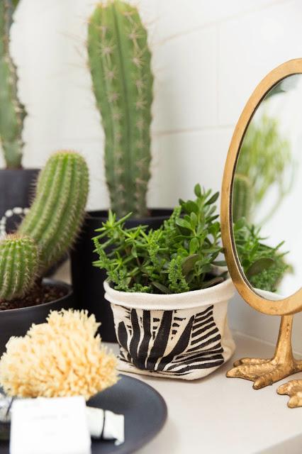 Un mini jardin dans la salle de bains