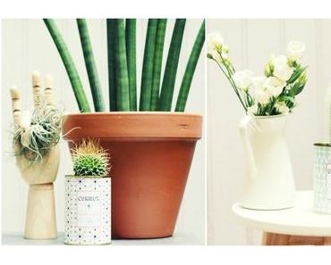 AŸ, parce que les cactus, comme l’amour, ça pique