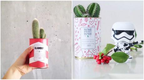 mini cactus pot graphique et coloré - glamour rouge