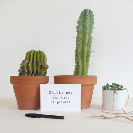 cactus-carte-petits mots-plantes