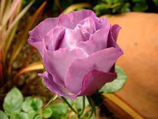 Un bail, des beaux...jours