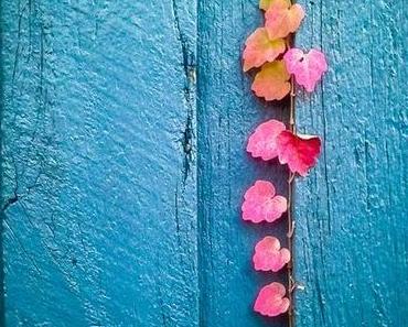 CLIN DOEIL A UN BRIN DE POESIE BLEUE DANS LES YEUX !