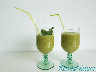 Smoothie Vert à la Mélisse du Jardin