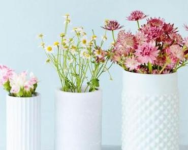 HELLO DECO D'UN DIMANCHE AVEC UN BUG... MAIS DU SOLEIL !