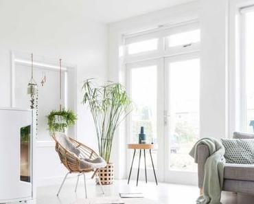 Intérieur lumineux et une jolie déco végétale