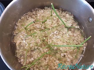 Gelée de Fleurs de Sureau au Citron Bio