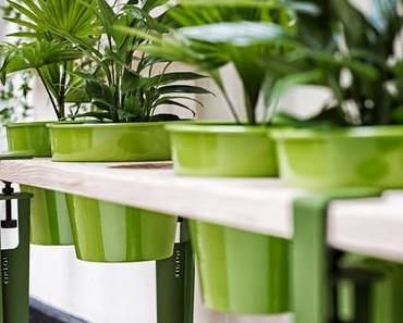 TipToe, la collection Primavera est faite pour mon jardin !