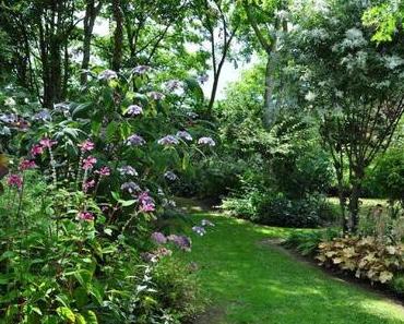 Créer et aménager un jardin à l’anglaise
