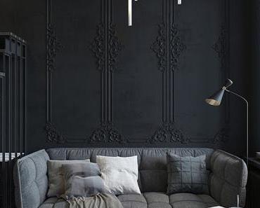 Russie  / Du noir pour un studio de 24 m² bien pensé /