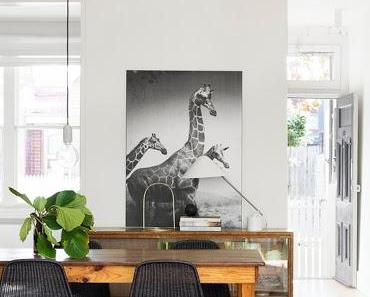 NOM D'UNE MAISON AVEC LA SIMPLICITE... POUR CONCEPT !