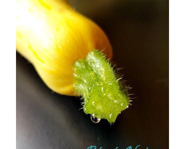 8 Recettes Salées ou Sucrées à faire avec les Courgettes du Jardin (ou du Marchand ;-)