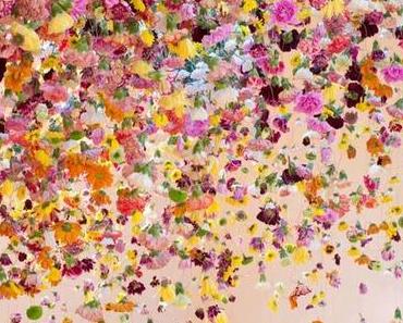 CLIN D'OEIL A UN FEU D'ARTIFICE... EN PLEIN JOUR !