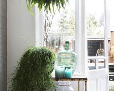 Inspirations déco dans une maison hollandaise