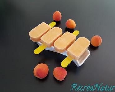 Mini-Batonnets Glacés Abricot-Coco sans Sorbetière