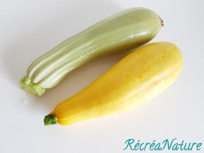 Courgettes du Jardin  au Four façon Frites au Parmesan et aux Herbes de Provence