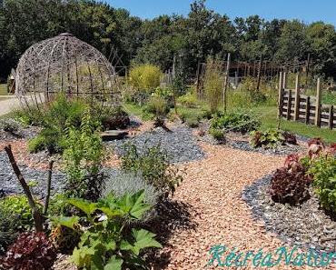 11 Idées de Balades autour de l'Eau et des Jardins pour profiter des Vacances en Anjou