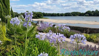 11 Idées de Balades autour de l'Eau et des Jardins pour profiter des Vacances en Anjou