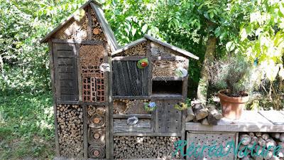 11 Idées de Balades autour de l'Eau et des Jardins pour profiter des Vacances en Anjou