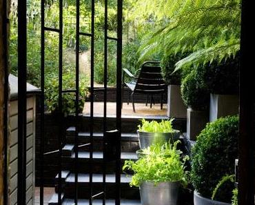 Un jardin contemporain en noir et vert