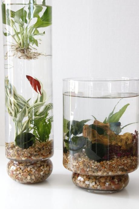 Deco nature : 10 DIY pour faire rentrer le feuillage ! Deco nature DIY pour faire rentrer le feuillage