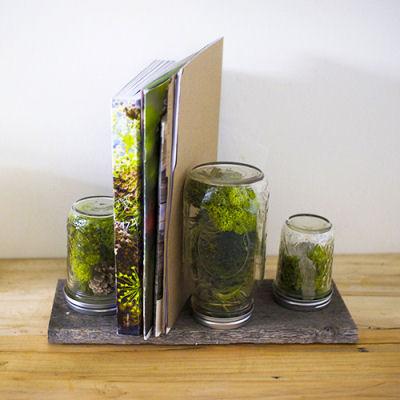 Deco nature : 10 DIY pour faire rentrer le feuillage ! Deco nature DIY pour faire rentrer le feuillage