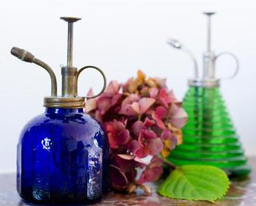 En boutique : de jolis siphons anciens