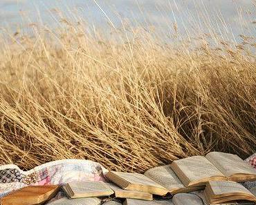 HELLO DÉCO D'UN DIMANCHE... QUI CHATOUILLE LE NET !