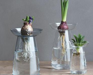 L'aqua culture ou l'art de faire pousser des plantes sans terre