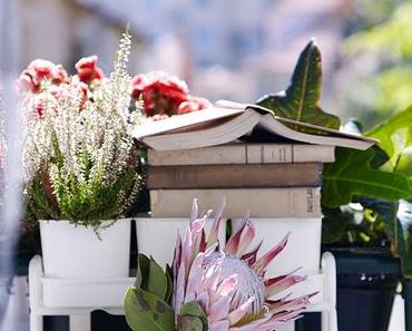 Petit balcon : quelques idées pour l’aménager