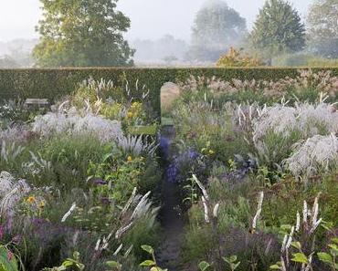 Le jardin bioclimatique, est-ce l'avenir ?