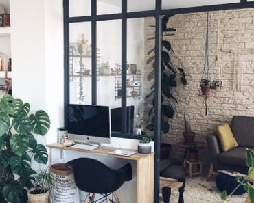 Zoom sur les plantes d’intérieur faciles d’entretien et très déco