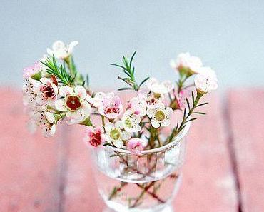 HELLO DECO D'UN DIMANCHE... TROP COURT !