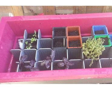 Test jardiniere  calipso