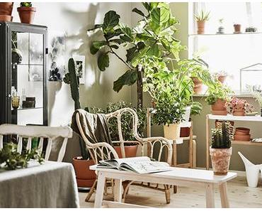 PLEINE VUE SUR LES PLANTES... INCONTOURNABLE !
