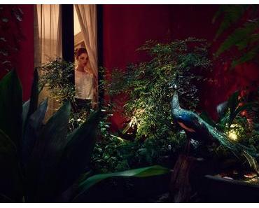 Parenthèse enchantée à l’hôtel du Bourg Tibourg