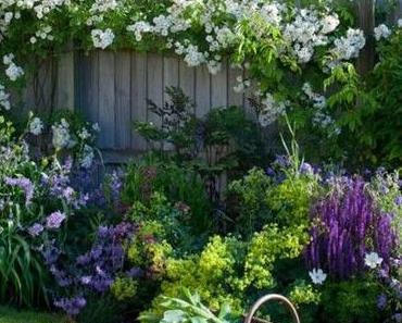 Comment prendre soin de nos plantes en été