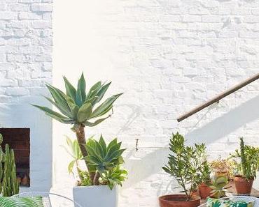 Cape Town / Roof Garden, imprimés d'inspirations tropicales pour Skinny laMinx  /