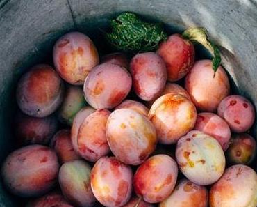 HELLO DÉCO ET... JOURNÉE MOLLE !