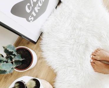 Freebies – Affiches chats