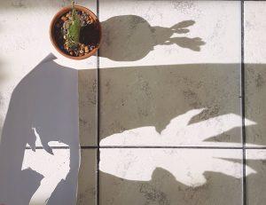 Nouvelle collection Skinny Laminx Roof Garden Nouvelle collection Skinny Laminx Roof Garden