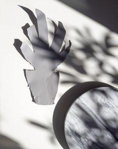Nouvelle collection Skinny Laminx Roof Garden Nouvelle collection Skinny Laminx Roof Garden